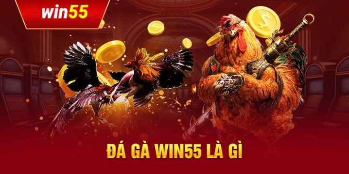 Nhà cung cấp game đá gà Win55 hàng đầu